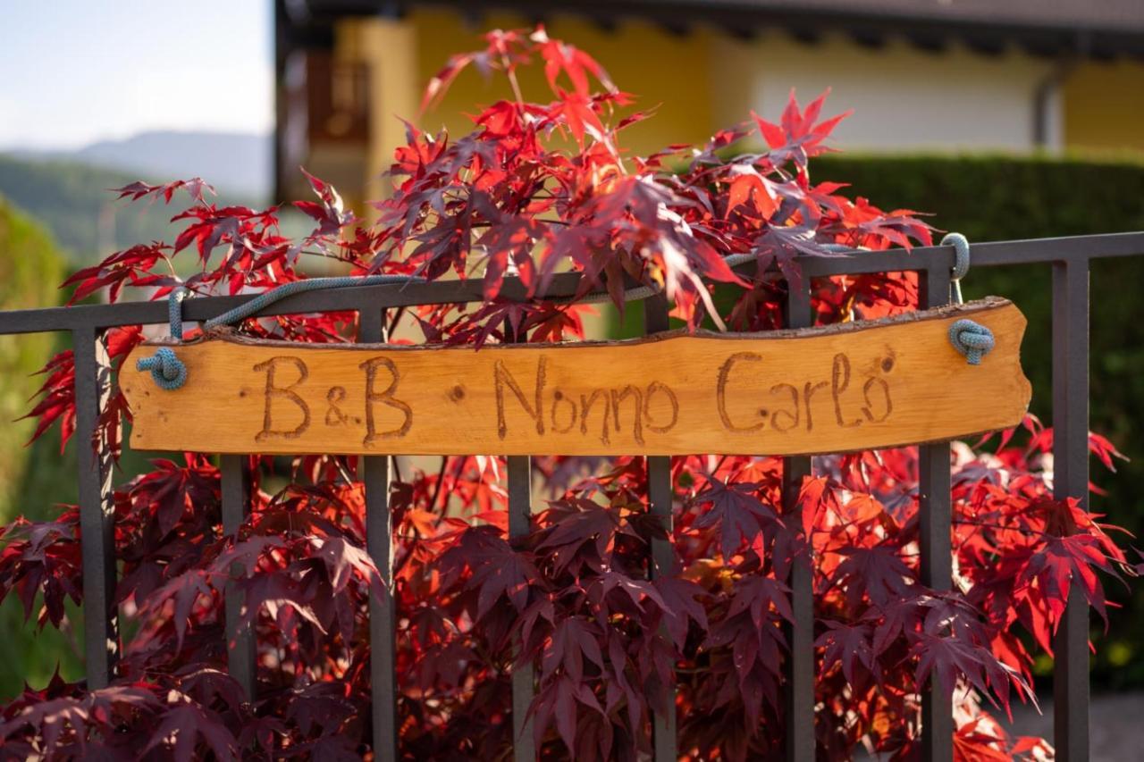 טרנטו B&B Nonno Carlo מראה חיצוני תמונה